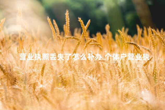 营业执照丢失了怎么补办 个体户营业执照丢失了怎么补办